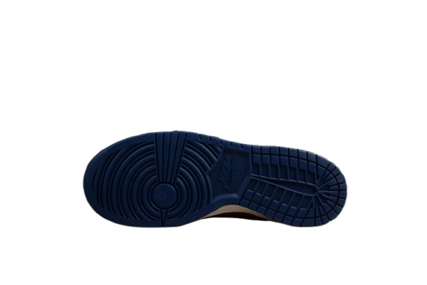 Nike SB Dunk Low Retro Vibe Brown